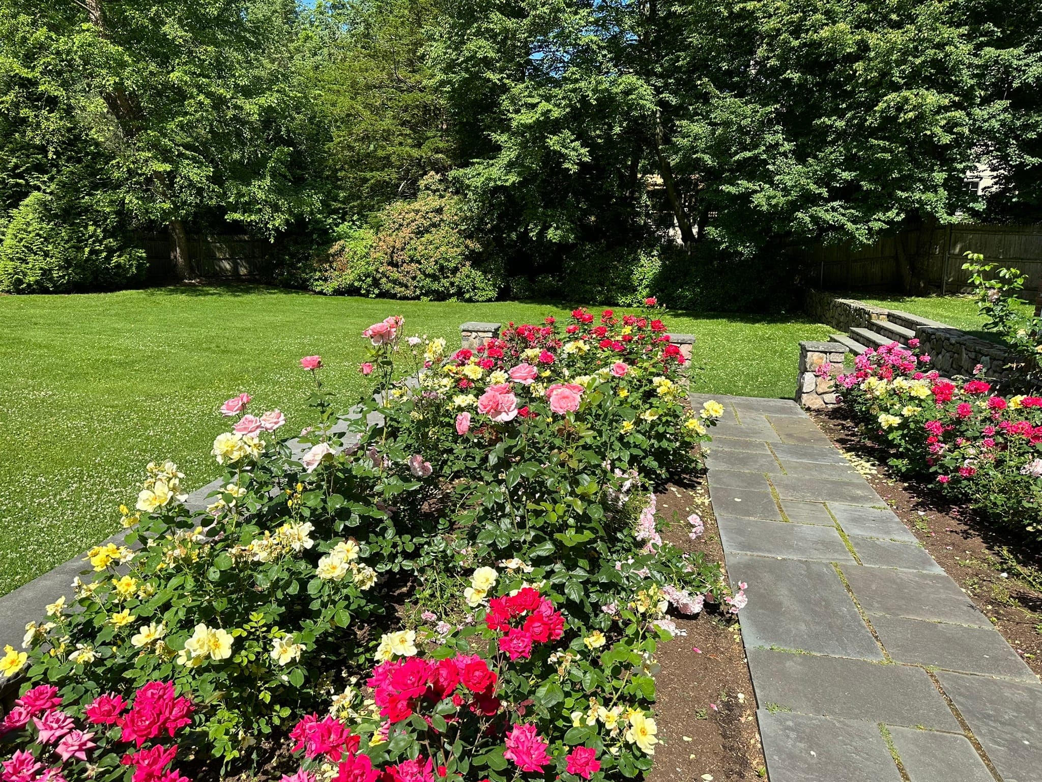 Lawn & Rose Garden Care