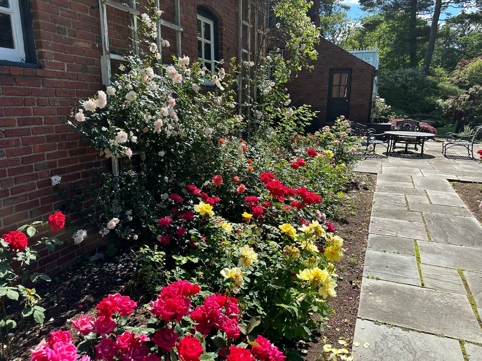 Lawn & Garden Beds