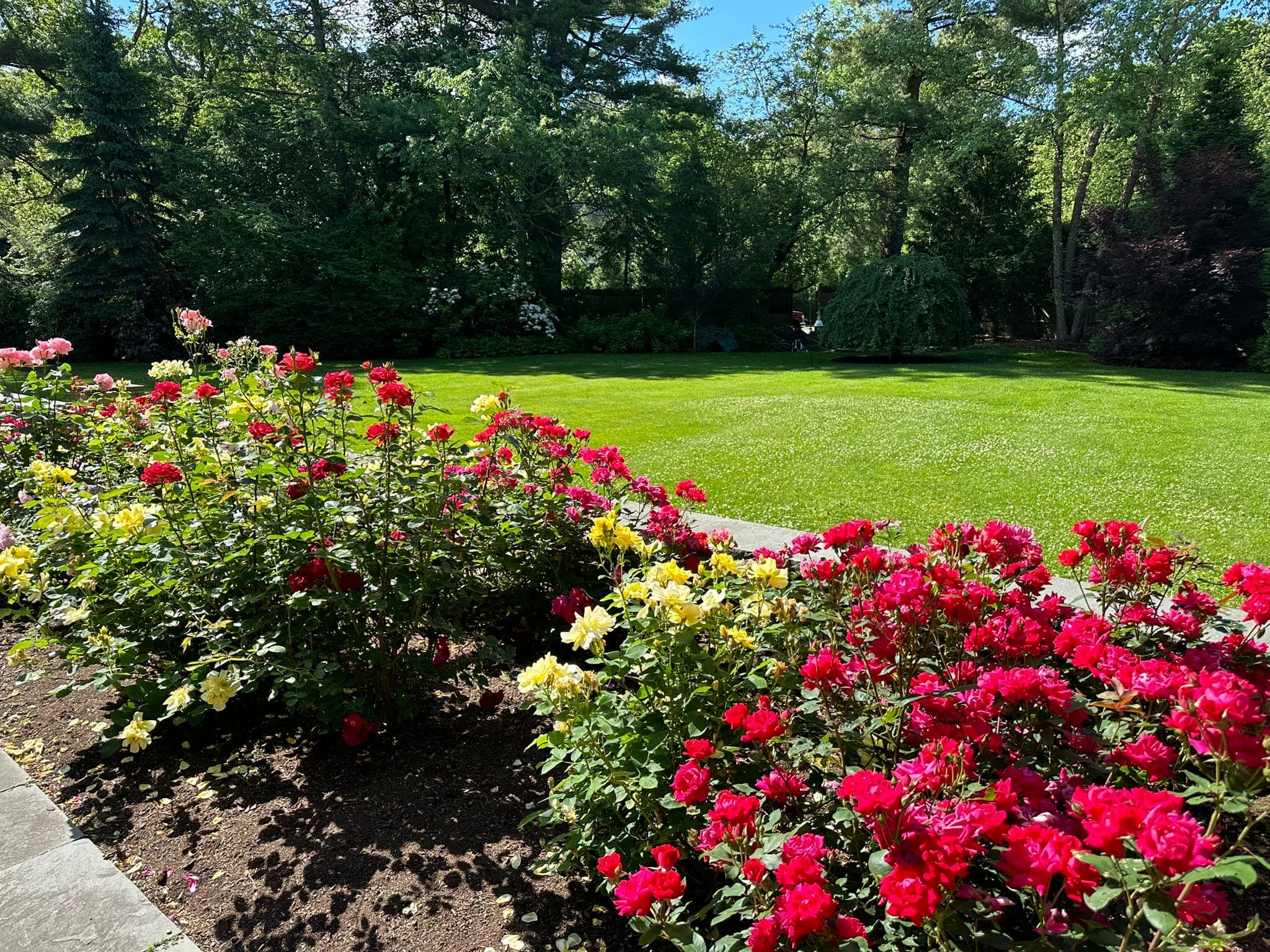 Lawn & Garden Care