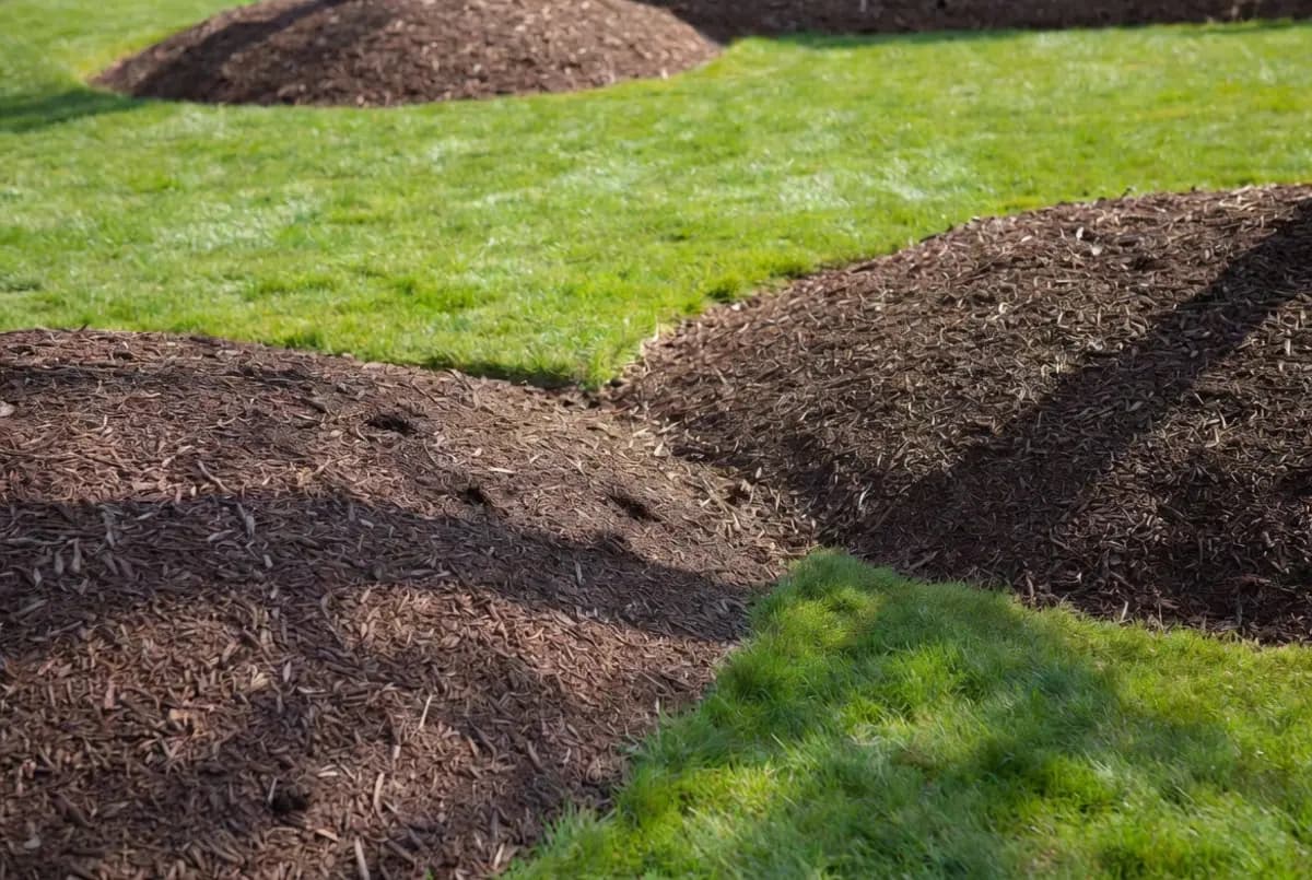 Mulch Delivery & Spread
