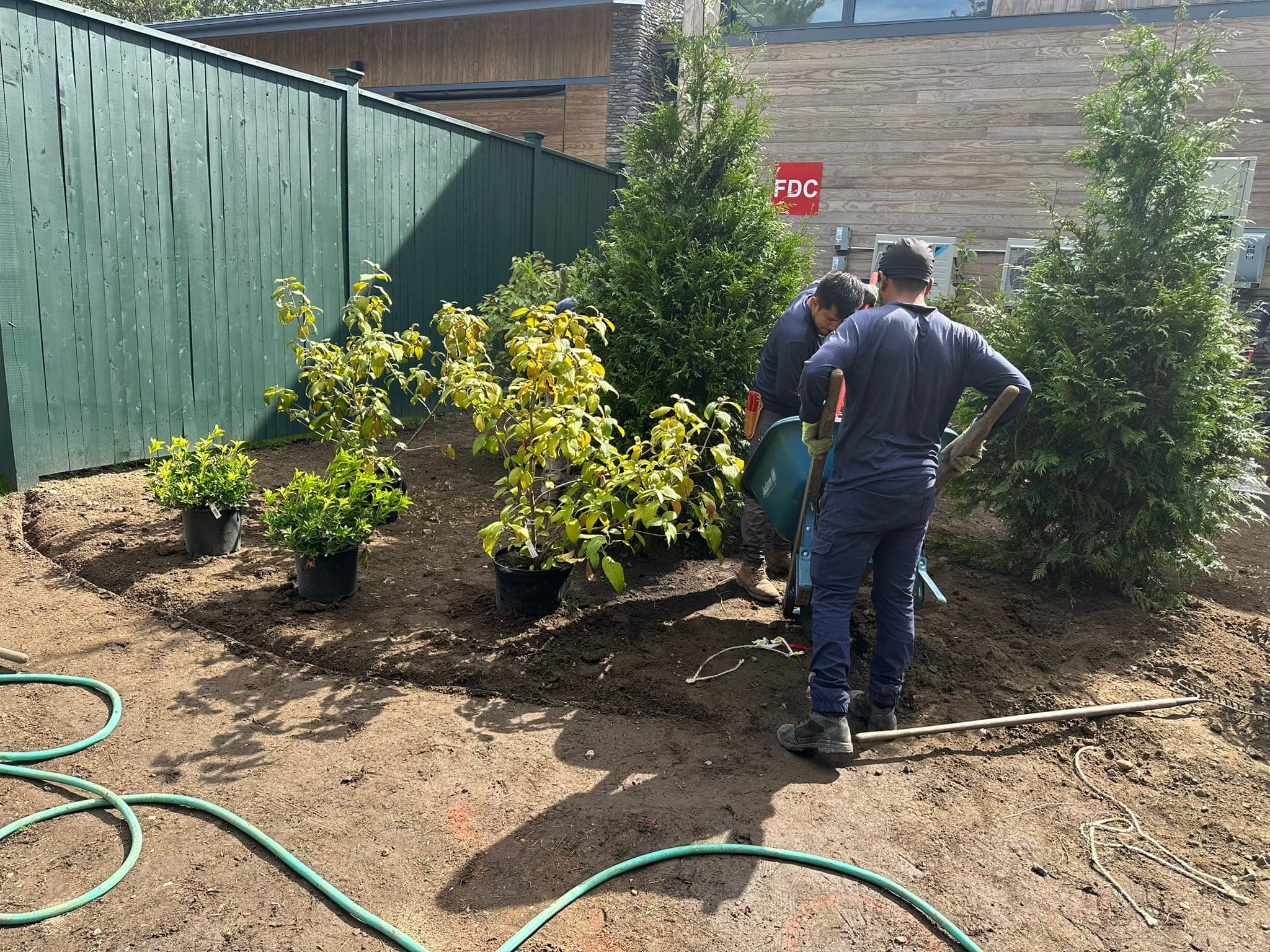 Crew Planting Shrubs