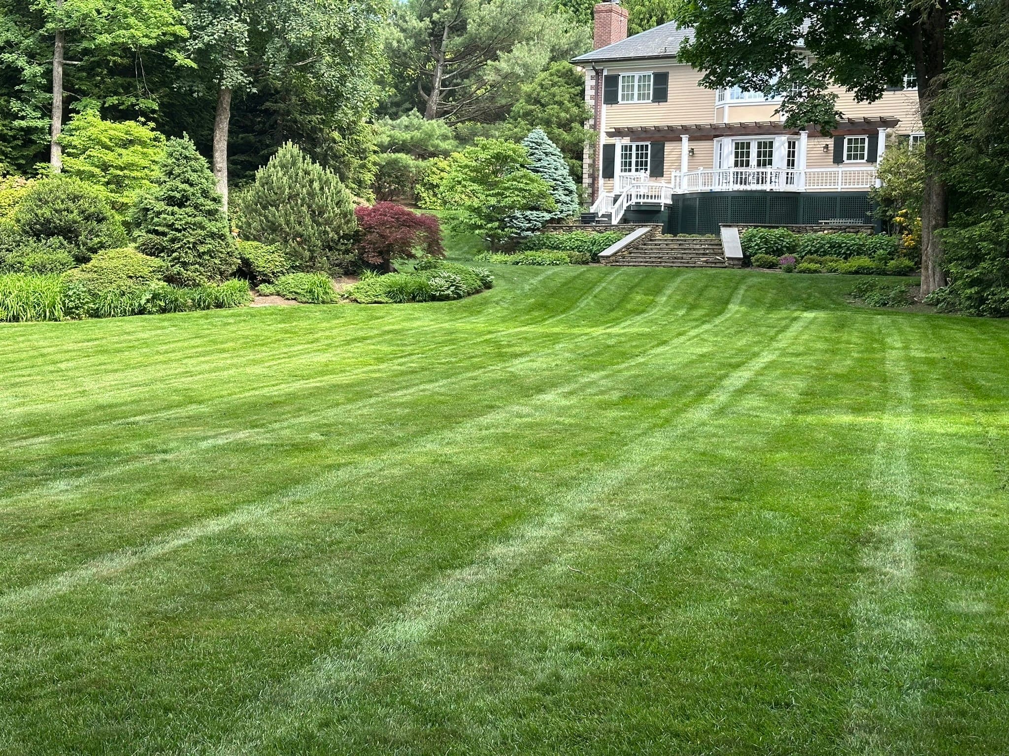 Lawn Mowing & Striping