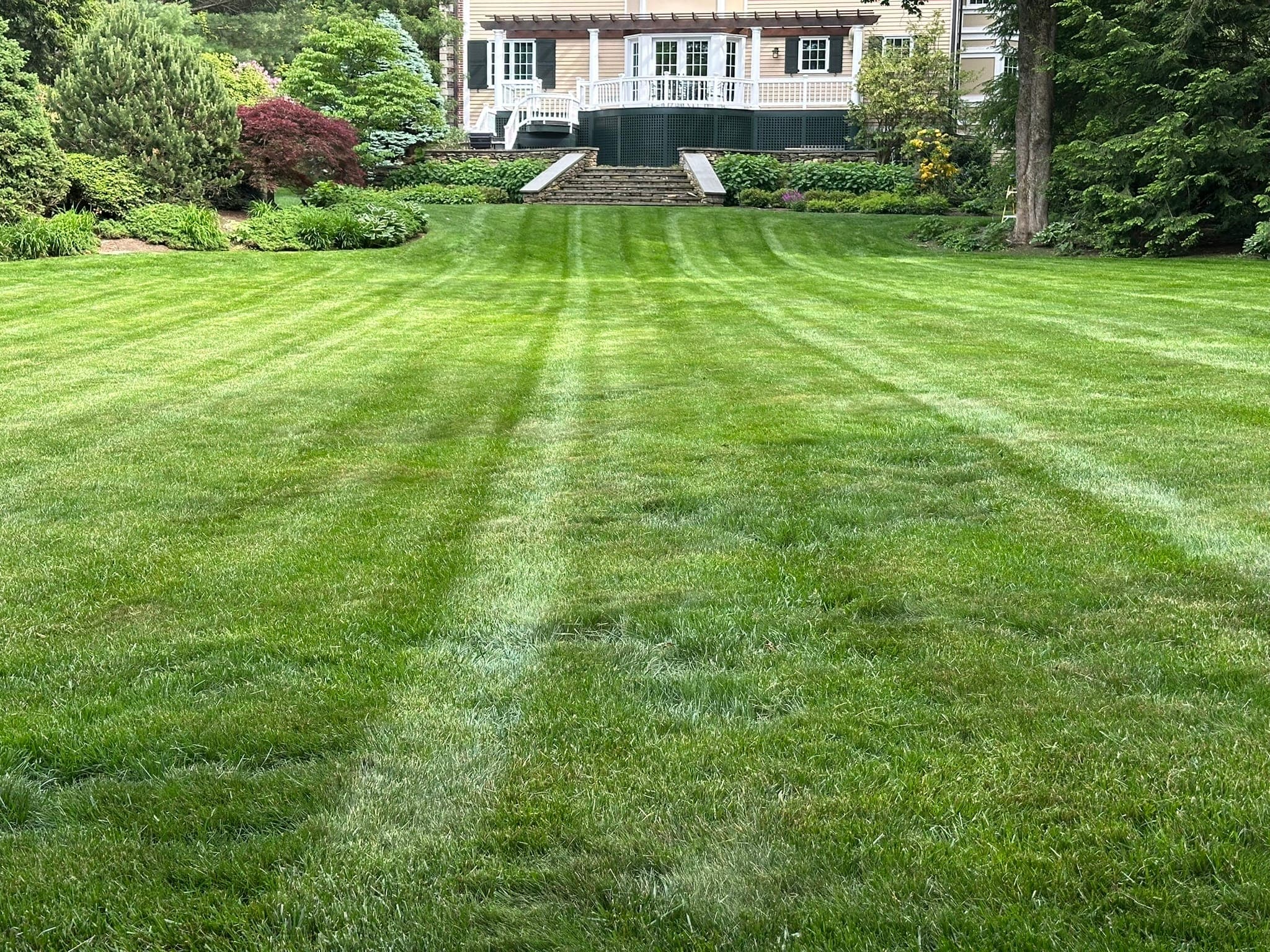 Lawn Striping