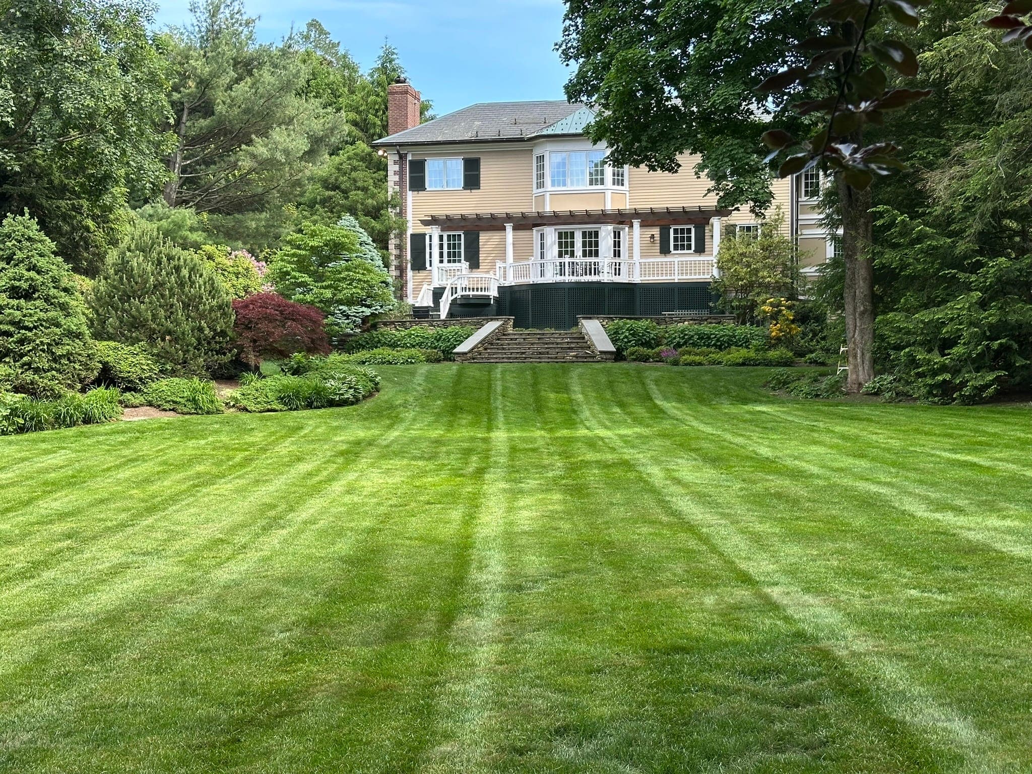 Weekly Lawn Care