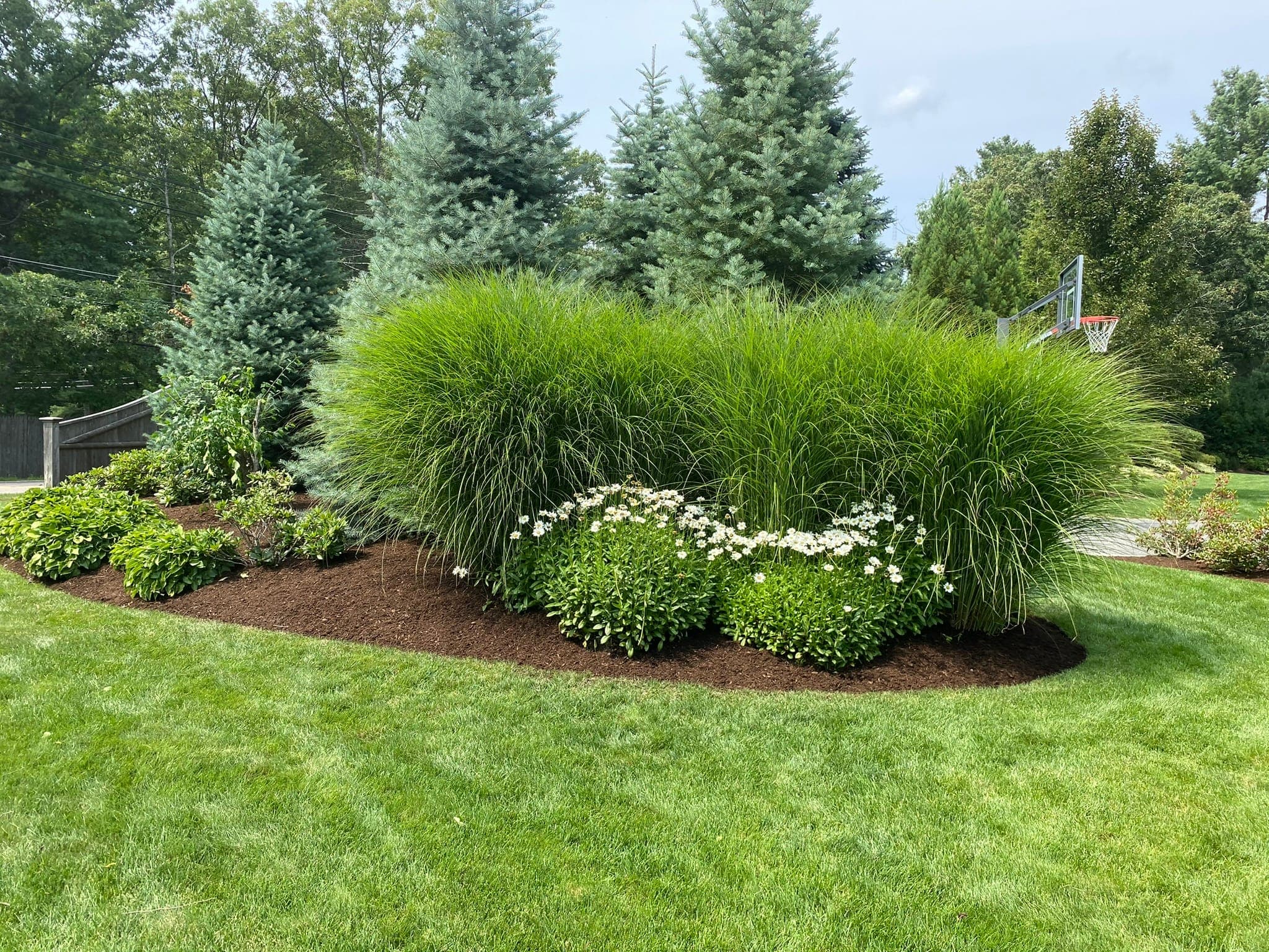 Ornamental Grass Bed
