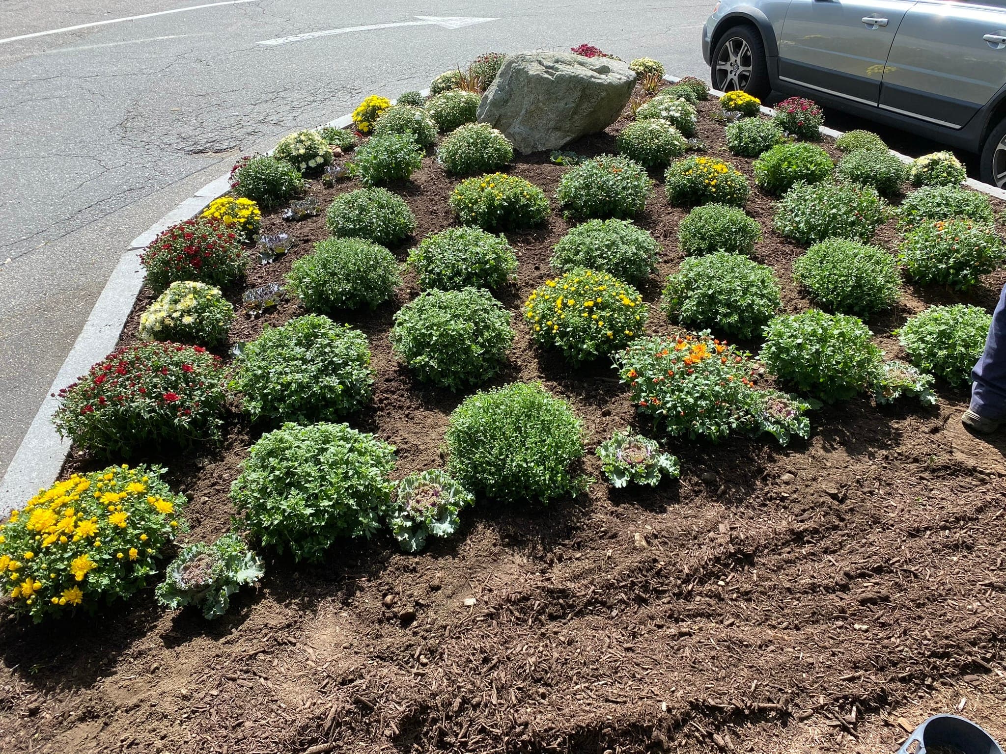 Seasonal Color Planting