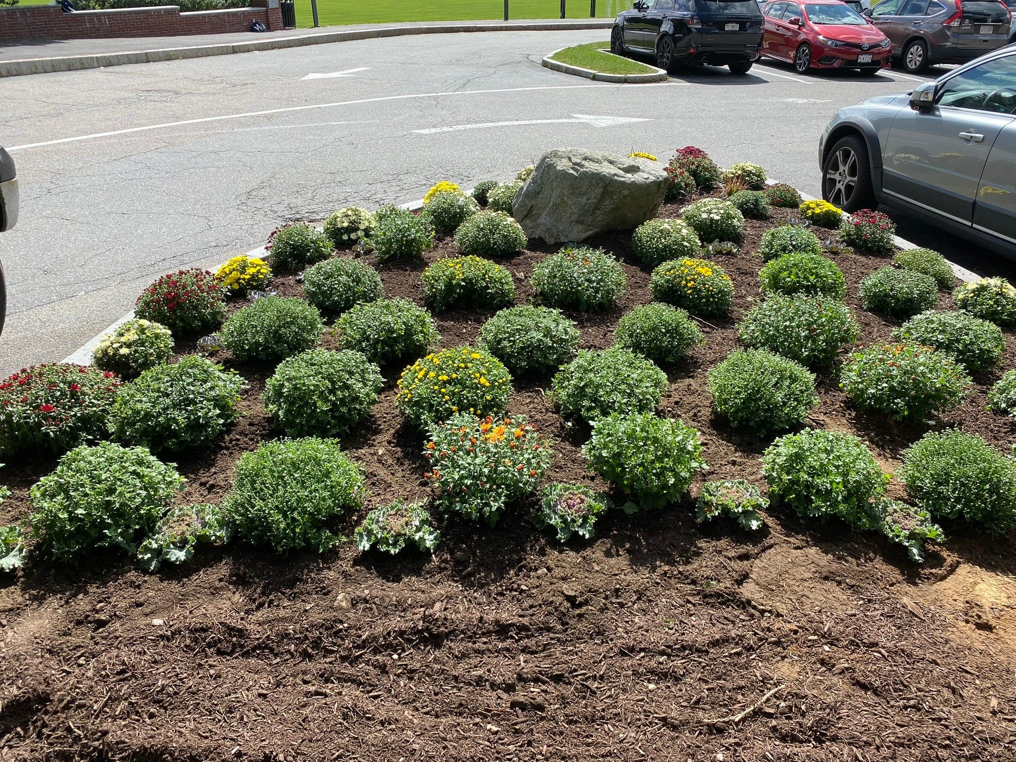 Seasonal Flower Bed