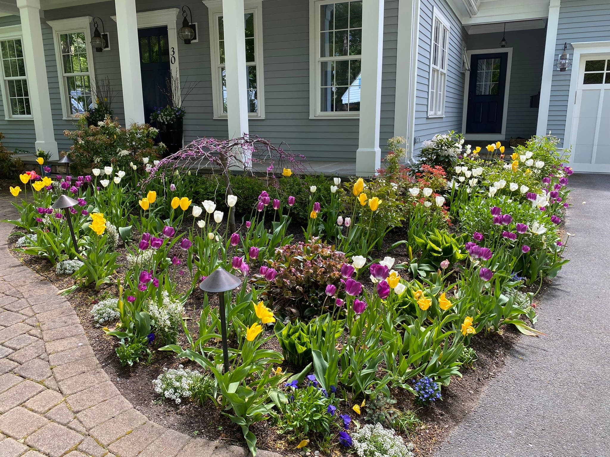 Spring Bulb Display