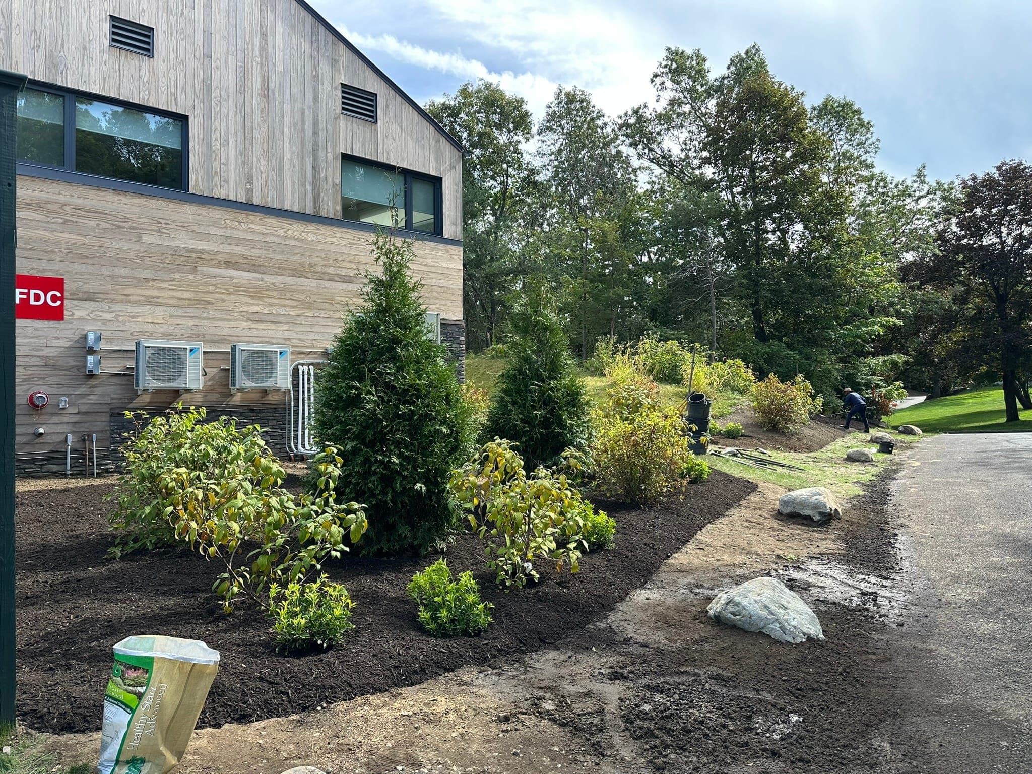 Foundation Shrub Planting