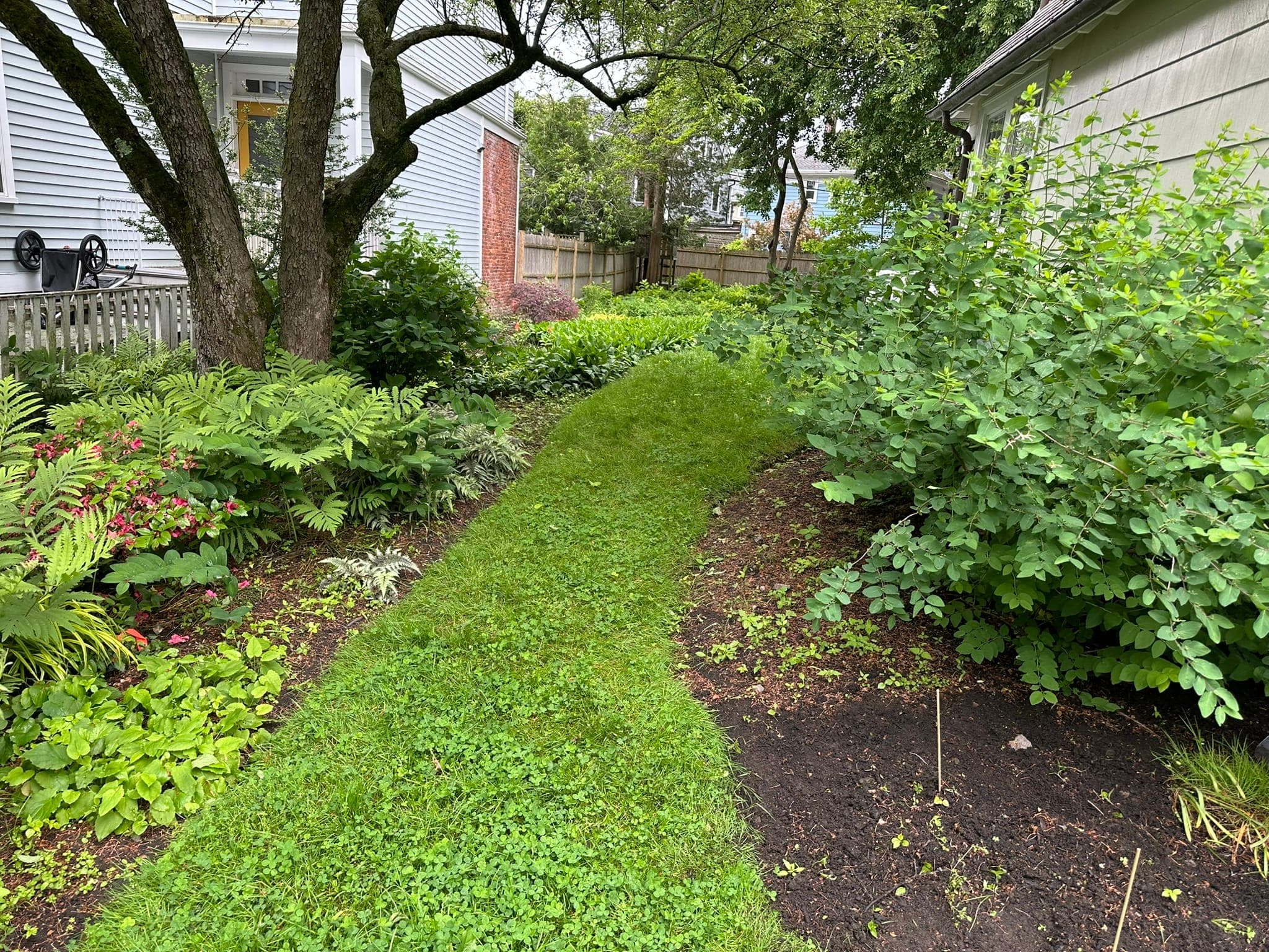 Garden Bed Planting